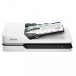 SCANNER PIANO FISSO - SCANNER EPSON WORKFORCE DS-1630 POWER PDF A4 25PPM ADF, STITCHING A3 USB 3.0 B11B239401PP FINO:31/03 FINO:30/06 - Borgaro Online
